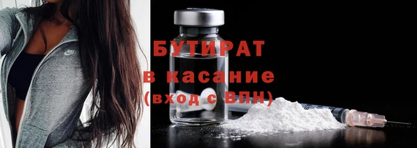 шишки Верея