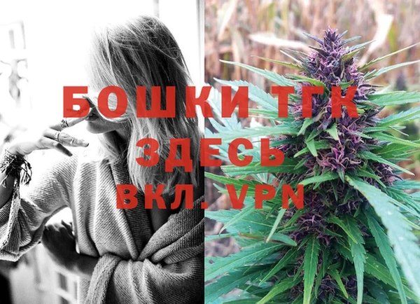 шишки Верея