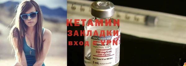 шишки Верея