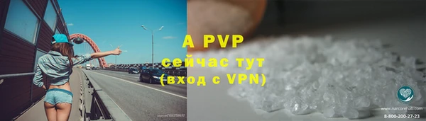 шишки Верея