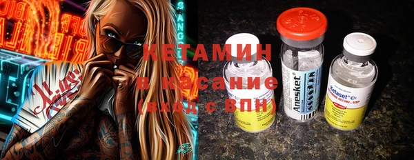 шишки Верея