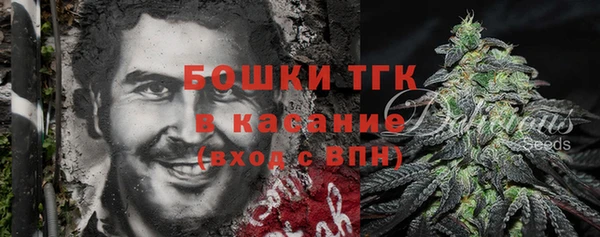 шишки Верея