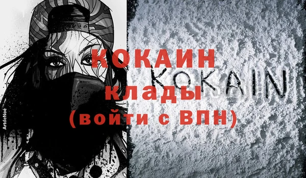 шишки Верея