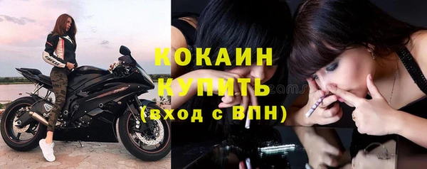 шишки Верея