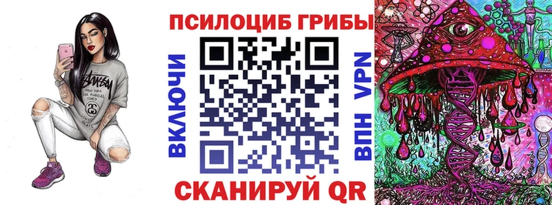 купить наркотик  Ковров  это какой сайт  Галлюциногенные грибы Psilocybine cubensis 